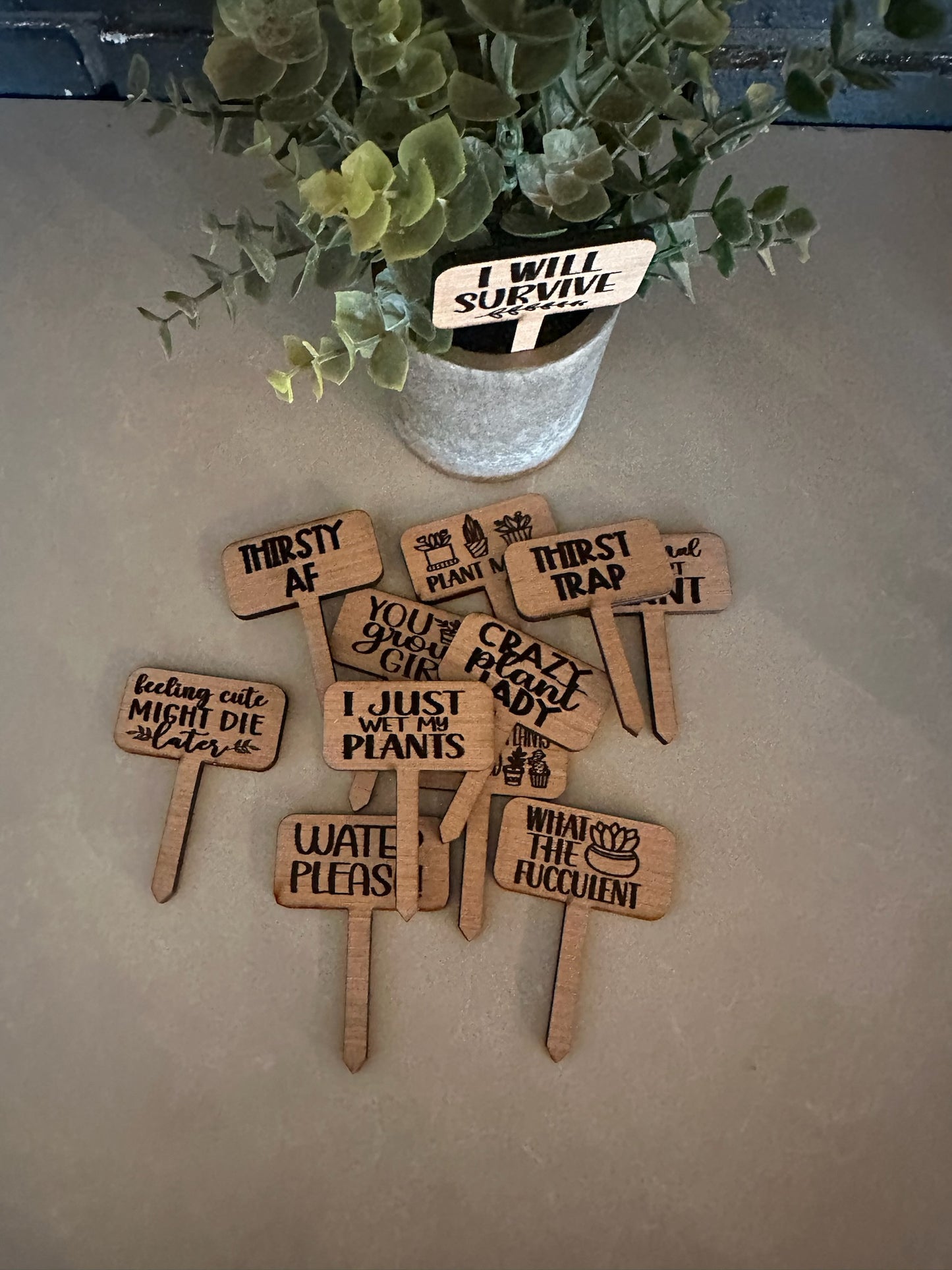 Funny Plant wood signs Garden Stakes - humor Garden or Indoor Plant wood Signs, Vegetables Labels, Planter Markers