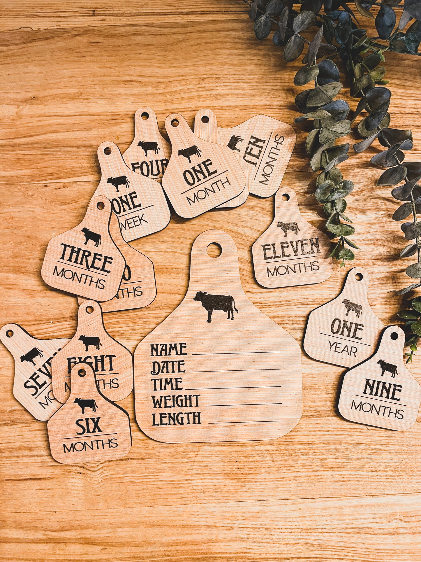 Cattle Ear Tag Baby Milestone cards + closet hangers + Announcement ; photo props; new born; babyshower gift Western Country