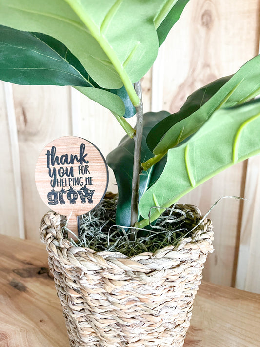 Thanks for helping me grow wood signs plant teacher appreciation gift