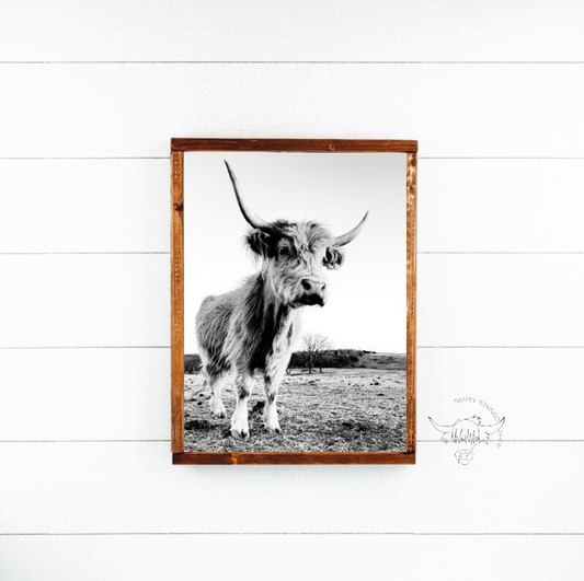 Black and white lola Highland Cow fluffy farmhouse wood sign