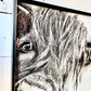 Cow Nose Drawing of Highland Cow Black and White Highland Cow fluffy farmhouse wood sign