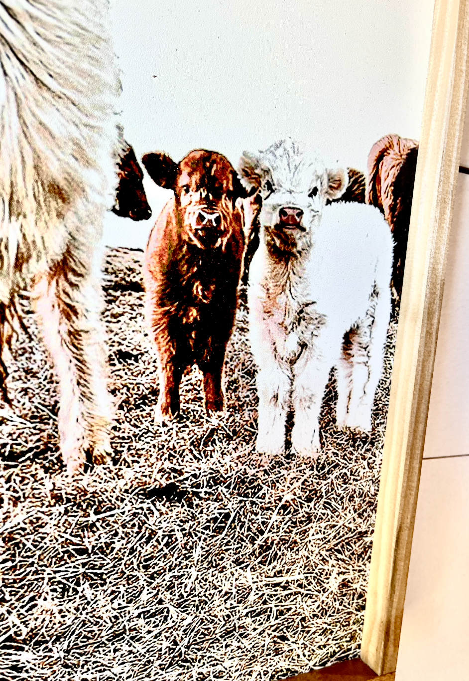 Denarys and calves Black White Highland Cow fluffy farmhouse wood sign
