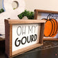 Oh My Gourd & Pumpkins