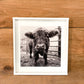 Scottish Highland Calf Portrait