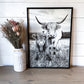 lola and Calf Highland Cow and baby Fluffy CowPhotos; Framed Wood Photo Signs