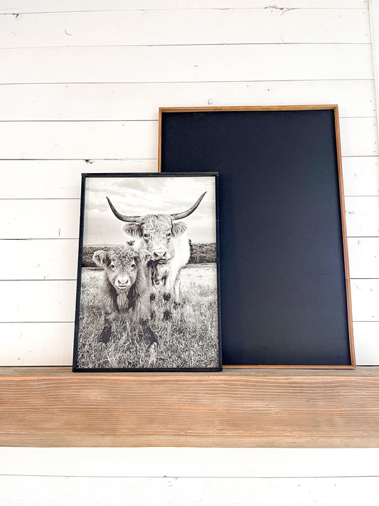 lola and Calf Highland Cow and baby Fluffy CowPhotos; Framed Wood Photo Signs