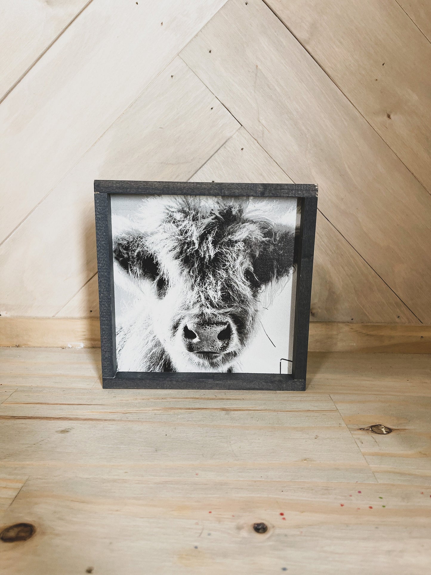 Fluffy Calf Closeup Scottish Highland Cow Black and White Farmhouse wood sign